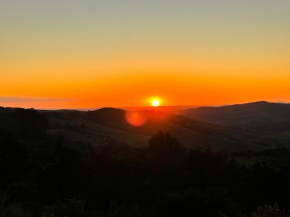 Matakana view